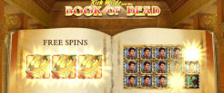 Book of Dead Slot