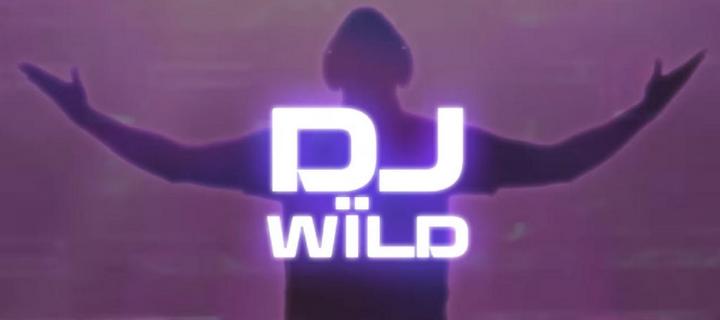 Dj Wild Slot