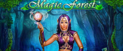 Magic Forest Slot 