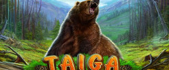 Taiga Slot